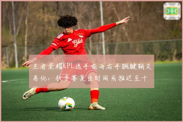 王者荣耀KPL选手花海右手腕腱鞘炎恶化，秋季赛复出时间或推迟至十月