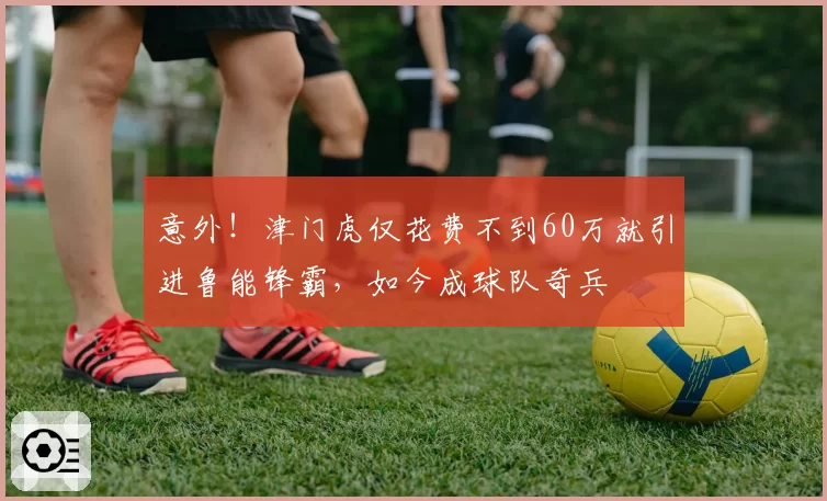 意外!津门虎仅花费不到60万就引进鲁能锋霸,如今成球队奇兵